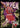 1996-97 SkyBox Z-Force #13 Scottie Pippen Z-Cling front