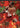 1995-96 Ultra #8 Hakeem Olajuwon Ultra Power front