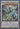 Crystal Clear Wing Synchro Dragon (Super Rare) - Quarter Century Stampede 1st Edition