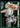 2012-13 Panini #13 Larry Bird Heroes of the Hall front