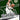 2024-25 Panini Revolution #12 Giannis Antetokounmpo Star Gazing back