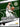 2024-25 Panini Revolution #12 Giannis Antetokounmpo Star Gazing back