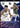 2021-22 Donruss #130 Dennis Schroder Holo Purple Laser #/99 front