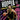 2024-25 Hoops #9 Stephen Curry Hoopla front