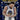 2023-24 Donruss Optic #17 Stephen Curry My House Purple front