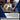 2019-20 Panini Mosaic #70 Stephen Curry Prizm back