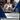 2019-20 Panini Mosaic #70 Stephen Curry Prizm back