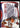2000-01 Hoops Hot Prospects #1 D Vince Carter Determined back