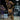 1999-00 Upper Deck Encore #79 Vince Carter front