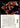 1994-95 SkyBox Premium #CS8 Charles Barkley Center Stage back