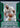 2024-25 Panini Prizm #25 Anthony Davis Dominance Prizms Green front