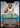 2024-25 Panini Mosaic #11 Jalen Brunson Thunder Road Mosaic back