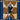 2024-25 Panini Revolution #1 Luka Doncic Hardwood Legacy back