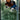 2000-01 SPx #X1 Kevin Garnett SPxtreme front