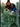 2000-01 SPx #X1 Kevin Garnett SPxtreme front
