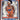 2020-21 Donruss #21 Shai Gilgeous-Alexander Franchise Features front
