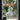 2018-19 Panini Court Kings #34 Giannis Antetokounmpo front
