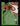1994-95 Ultra #1 Charles Barkley Ultra Power back