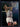1996-97 Topps Stars #104 Charles Barkley front