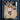 2021 Panini Chronicles Draft Picks #324 Scottie Barnes front