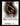 1999-00 SkyBox Premium #109 Shawn Marion back