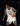 1993-94 SkyBox Premium #TL1 Jamal Mashburn / Jim Jackson Thunder and Lightning front