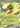 Whimsicott ex 5- SV White Flare Holofoil