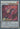 Bramble Rose Dragon (Secret Rare) - Doom of Dimensions 1st Edition