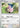 Miltank 106- ME01 Mega Evolution