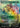 A Realm Reborn (Borderless) (Chocobo Track Foil) (Foil) - FINAL FANTASY