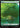 Forest (0296) - Avatar: The Last Airbender Foil