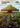 The Banyan Tree - The Great Henge (Borderless) - Avatar: The Last Airbender: Eternal-Legal Foil