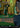 Intruder Alarm (Borderless) - Avatar: The Last Airbender: Eternal-Legal