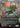 Vibrance (Borderless) - Lorwyn Eclipsed Foil