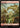 Mountain (0277) - Lorwyn Eclipsed Foil