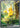 Pikachu ex 276/217  - Holofoil ME Ascended Heroes - Special Illustration Rare