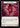 Pound Of Flesh (Blue) - Compendium of Rathe