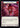Pound Of Flesh (Blue) - Compendium of Rathe Rainbow Foil