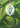 Calm Rune (R02b) - Riftbound Organized Play Promotional Cards Foil