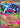 Mega Charizard X ex 029  - Holofoil ME Mega Evolution Promo - Promo