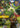 Ivern - Friend to All - Unleashed Foil