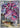 Drapion 097/088  - Holofoil ME03 Perfect Order - Shiny Rare