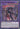 Despian Quaeritis (Super Rare) - Rarity Collection 5 1st Edition