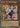 Maliss P White Rabbit (Starlight Rare) Starlight Rare - Rarity Collection 5 1st Edition