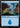 Island (0274) - Secrets of Strixhaven Foil