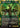 Awaken the Woods - Secrets of Strixhaven: Mystical Archive Foil