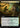 Dina's Guidance (Extended Art) - Secrets of Strixhaven