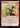 Living History - Secrets of Strixhaven Foil