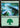 Forest (0281) - Secrets of Strixhaven Foil