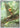 Chespin 087/086  - Holofoil ME04 Chaos Rising - Illustration Rare